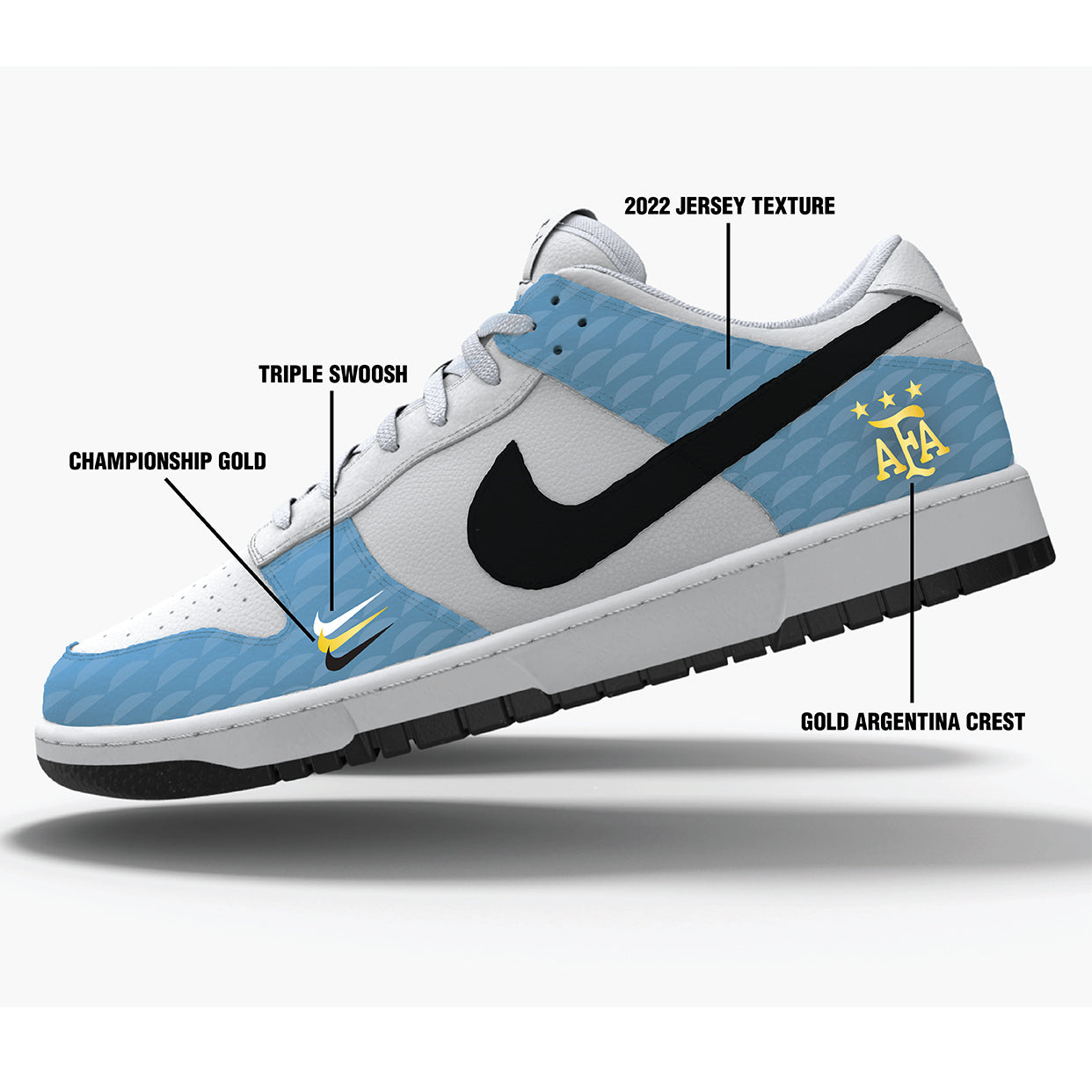 "ARG" Custom Nike Dunk